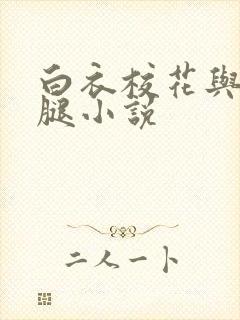 白衣校花与大长腿小说