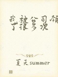 我被公司领导C了很多次