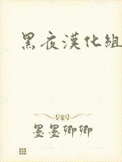 黑夜汉化组