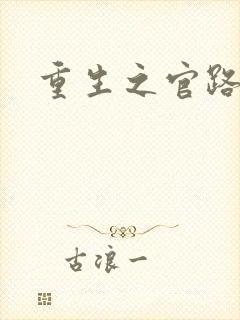 重生之官路风流