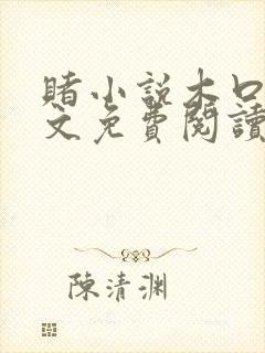 赌小说木口银全文免费阅读笔趣阁