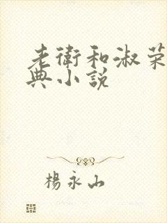 老卫和淑荣的经典小说