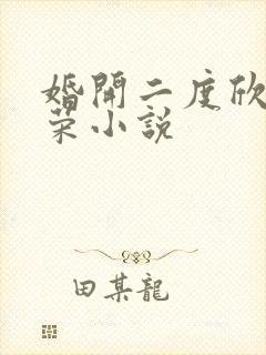 婚开二度欣欣向荣小说