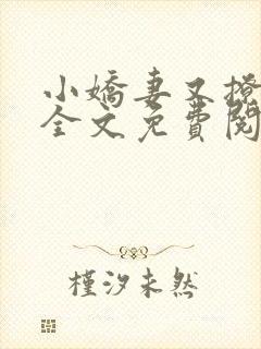 小娇妻又撩又甜全文免费阅读