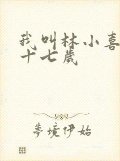 我叫林小喜今年十七岁
