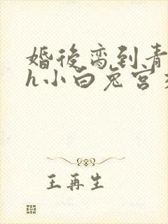 婚后脔到青梅哭h小白兔宫交h