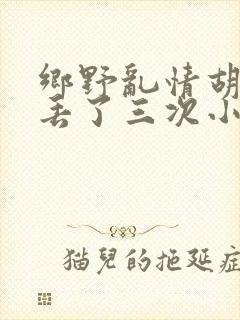 乡野乱情胡秀英丢了三次小说
