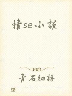 情se小说