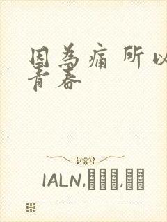 因为痛 所以叫青春