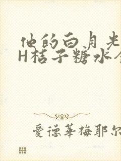 他的白月光HVH桔子糖水全文