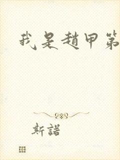 我是赵甲第小说