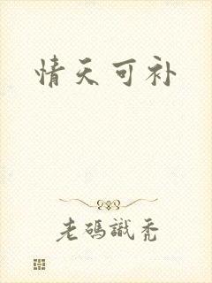 情天可补