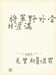 将军野外含公主H灌满