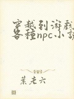 穿越到游戏里和各种npc小说