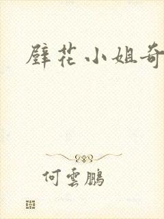 壁花小姐奇遇记