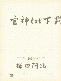 官神txt下载
