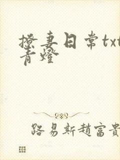 撩妻日常txt青灯
