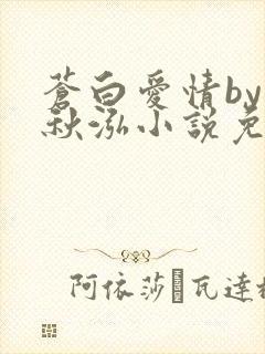 苍白爱情by三秋泓小说免费阅读笔趣阁