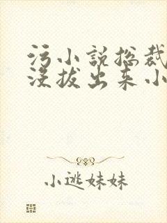 污小说总裁整夜没拔出来小说在线阅读