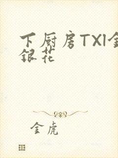 下厨房TXl金银花