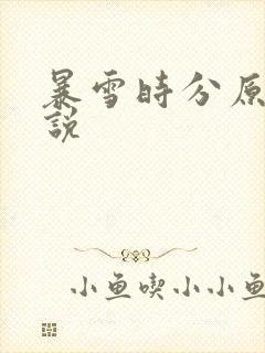 暴雪时分原著小说