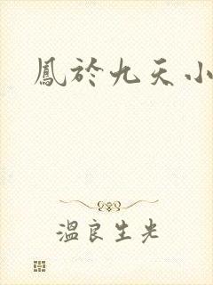 凤于九天小说