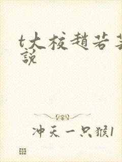 t大校赵若芸小说