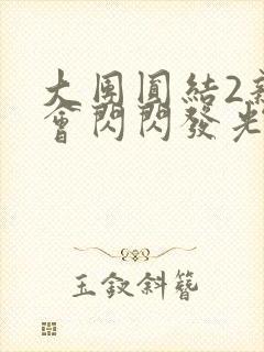 大团圆结2亲情会闪闪发光亲情会