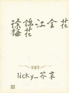 徐锦江金花瓶楷梅花