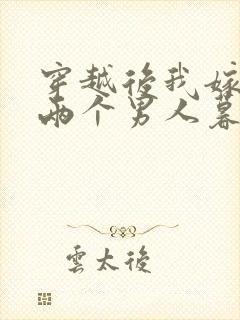 穿越后我嫁给了两个男人暮色酒歌