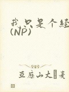 我只是个经纪人(NP)