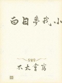 白日梦我小说