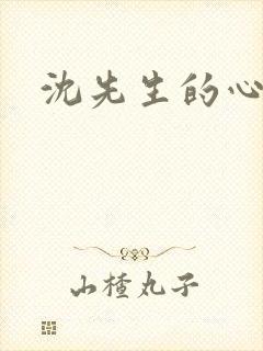 沈先生的心头宝