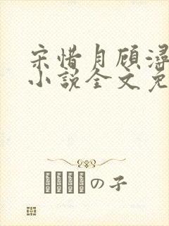 宋惜月顾浔渊的小说全文免费阅读