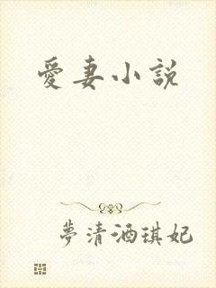 爱妻小说