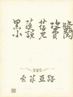 黑莲花攻略手册小说免费阅读