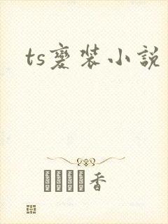 ts变装小说