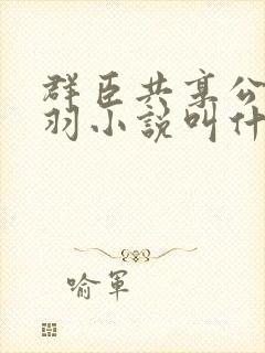 群臣共享公主银羽小说叫什么