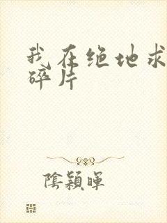 我在绝地求生捡碎片