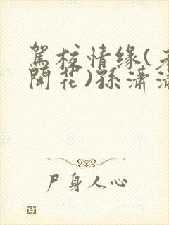 驾校情缘(老树开花)孙潇潇笔趣阁