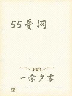 55爱网