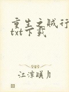 重生之贼行天下txt下载
