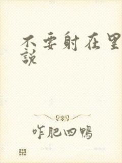 不要射在里面小说