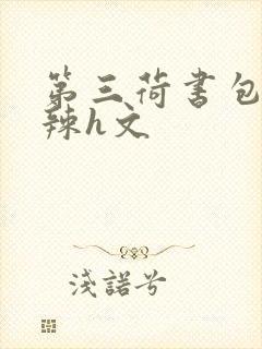 第三荷书包网高辣h文