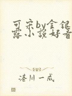 可宋by金银花露小说好看吗