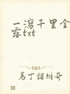 一泻千里金银花露txt