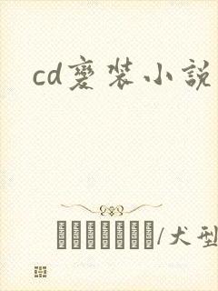 cd变装小说