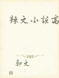 辣文小说高h