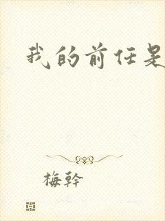 我的前任是极品