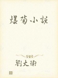 爆菊小说